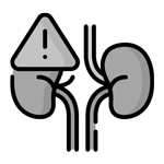 kidney-150-2